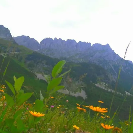 Bergmoment - Adults Only Apartment *