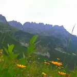 Bergmoment - Adults Only Lejlighed *