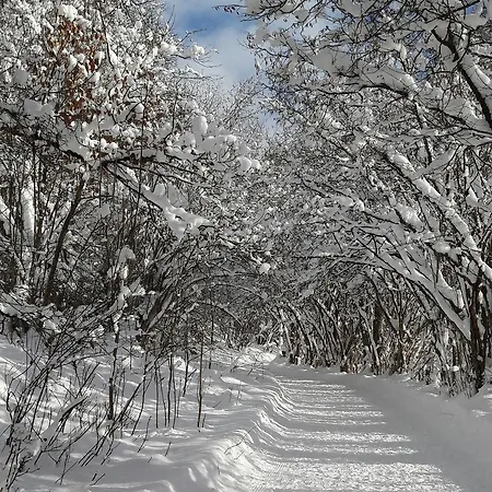 Appartamento Bergmoment - Adults Only *