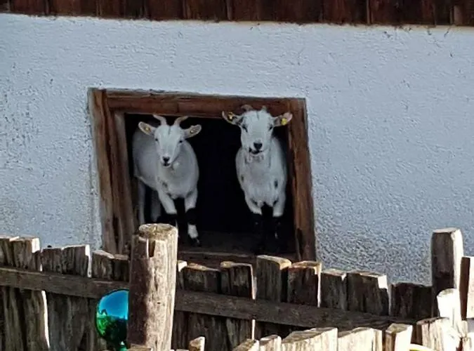 Landhaus Bergmoment Apartmán Ellmau